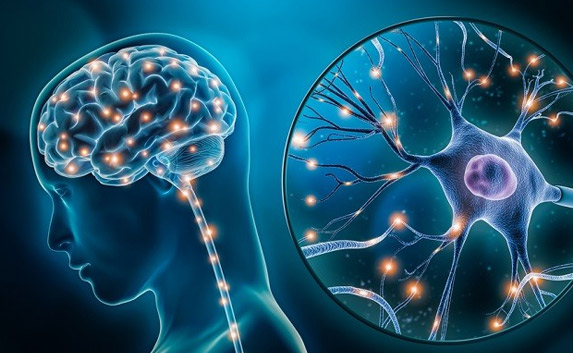 Neurology & Neurosurgery